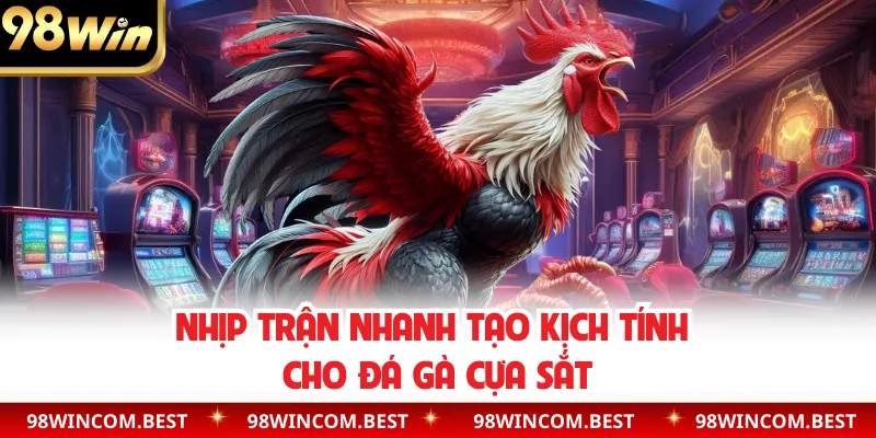 Nhịp trận nhanh tạo kịch tính cho đá gà cựa sắt